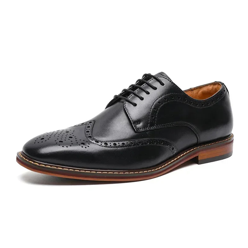 Pavone Wingtip Brogue Derbies